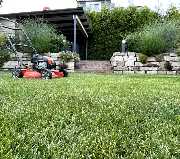 Mein Wunschgarten GmbH - 4