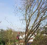 Mein Wunschgarten GmbH - 6