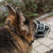 MenschUndHundZentrum - Probleme mit dem Hund