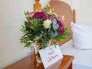 Mercure Hotel Plaza Magdeburg - GALLERY