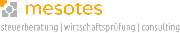 mesotes GmbH & Co. KG Wirtschaftsprüfungsgesellschaft - 1