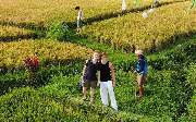 Method & Motion - Team Workation auf Bali