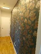 MewesBau - IMG_20240213_162526_848.jpg