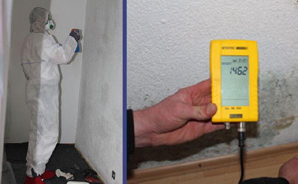 Meyer GbR - Leistungen