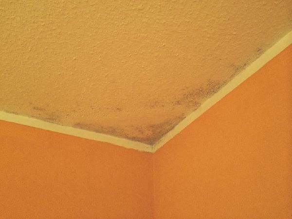 Meyer GbR - Schimmel an der Decke