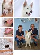 Meyer GbR - Schimmelspürhund