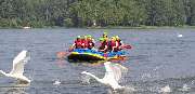 Meyer-Rafting