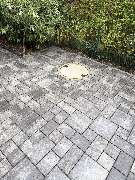 MG Hausmeisterdienste & GaLa Bau - IMG_4829.jpeg