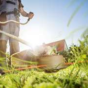 MHS Gartenbau Schaber - GALLERY