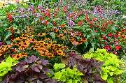 MHS Gartenbau Schaber - GALLERY