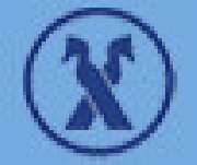 Michael Engemann Schilfdachdecker - 1