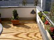 Michael Frahn Ihr Dachdeckermeister - GALLERY