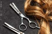 Micha's Salon - GALLERY