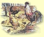 Michel Feinen Geflügelhof - 1