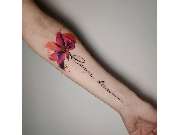 Midnight Tattoo & Piercing - GALLERY