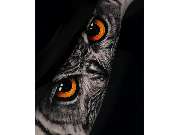 Midnight Tattoo & Piercing - GALLERY