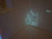 Mikrobiologische Bauforensik Hans Metzger - GALLERY