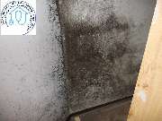 Mikrobiologische Bauforensik Hans Metzger - GALLERY