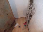 Mikrobiologische Bauforensik Hans Metzger - GALLERY