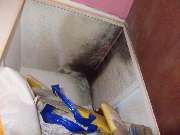 Mikrobiologische Bauforensik Hans Metzger - GALLERY