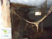 Mikrobiologische Bauforensik Hans Metzger - GALLERY