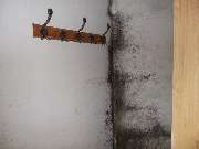 Mikrobiologische Bauforensik Hans Metzger - GALLERY