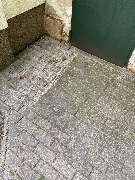 Milbrecht Dienstleistungen - IMG_2984.jpeg