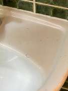 MiMi Reinigungs- und Gebäudeservice - 1000026746.jpg