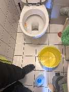 MiMi Reinigungs- und Gebäudeservice - 1000027008.jpg