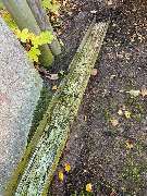 MiMi Reinigungs- und Gebäudeservice - 1000028783.jpg