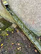 MiMi Reinigungs- und Gebäudeservice - 1000028786.jpg