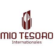 Mio Tesoro Internationales - LOGO