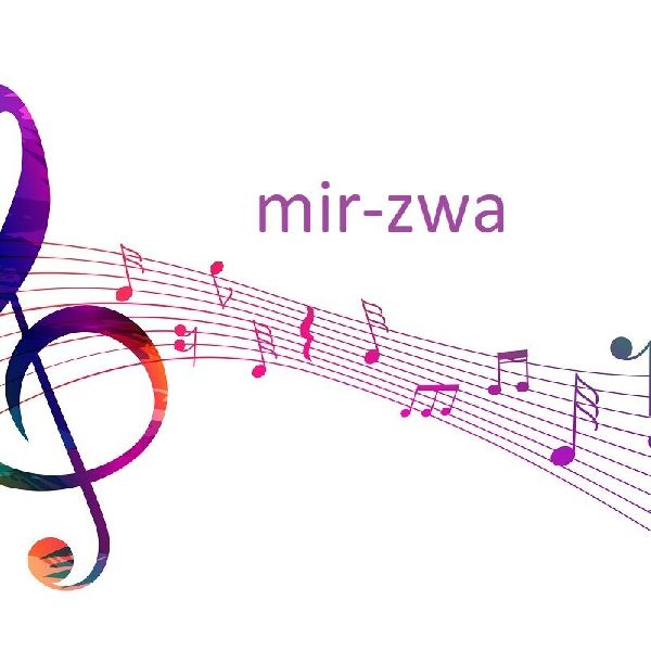 mir-zwa - GALLERY