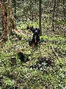 Miris Hundeschule - GALLERY