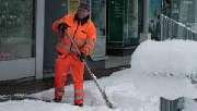 Mirko.Hausmeisterservice.Garten.Sair - 4