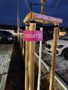 mister*lady - GALLERY