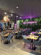 MITO Restaurant - 22