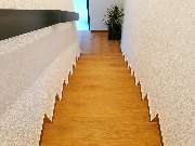 Mitrovic-Bodenleger - GALLERY
