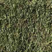 MK-Agrarprodukte - GALLERY