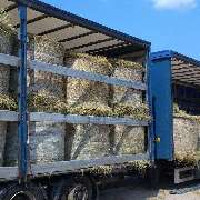 MK-Agrarprodukte - GALLERY