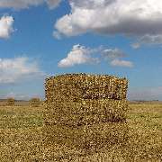 MK-Agrarprodukte - GALLERY