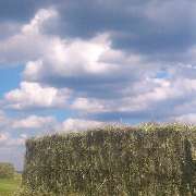 MK-Agrarprodukte - GALLERY