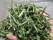 MK-Agrarprodukte - GALLERY