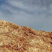 MK-Agrarprodukte - GALLERY