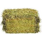 MK-Agrarprodukte - GALLERY