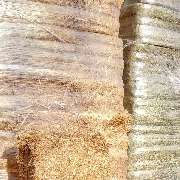 MK-Agrarprodukte - GALLERY