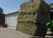 MK-Agrarprodukte - GALLERY