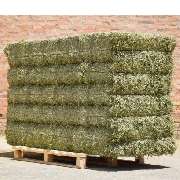 MK-Agrarprodukte - LOGO