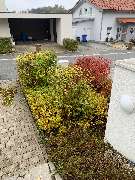 MK Hausmeisterdienst e.K. - GALLERY