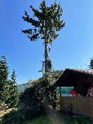 MK Hausmeisterdienst e.K. - GALLERY